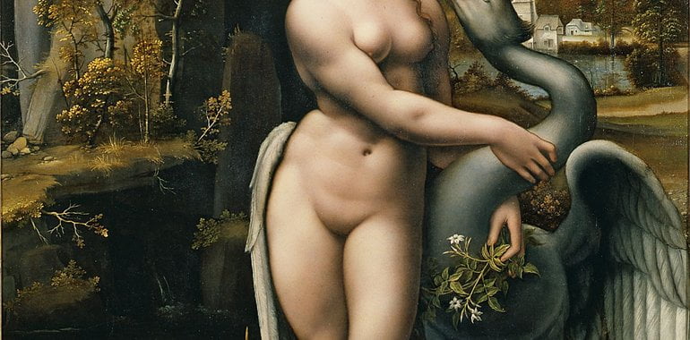 Leda and the Swan - Cover image