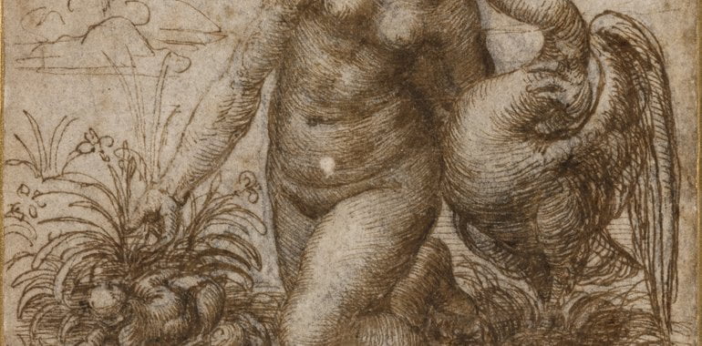 Leda and the Swan - Cover image